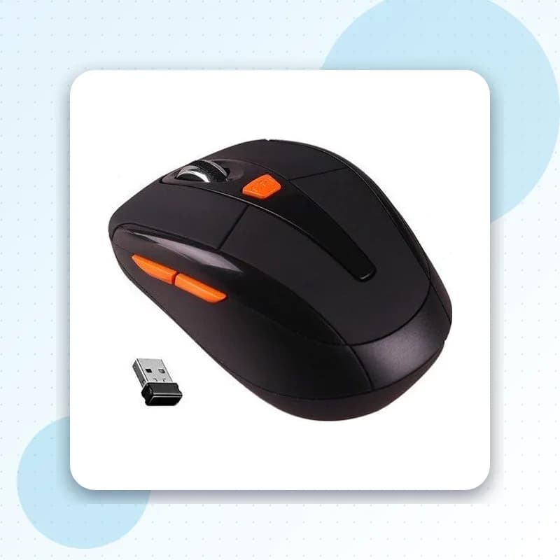 Mouse
